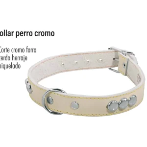 Collar de piel para perro 3/4″
