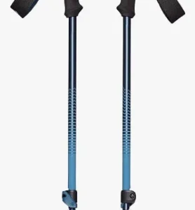 Bastones Black diamond - Trail Back