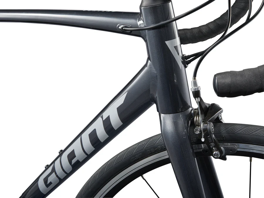 CONTEND 2 - Imagen 6