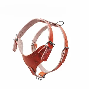 Pechera para perro pequeño