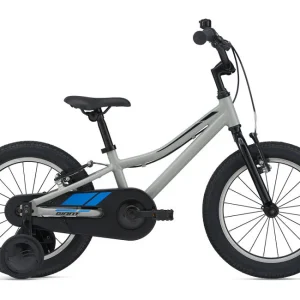 ANIMATOR F/W 16 MY22