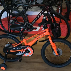 BICICLETA PARA NIÑO/A JOY RIN 20