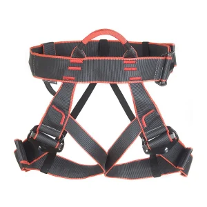 Arnes Edelweiss - (Mygale Unitalla)